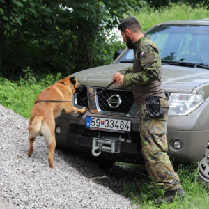 Pod Nízkymi Tatrami cvičili psovodi zo Slovenska, Čiech a Maďarska