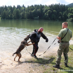 Pod Nízkymi Tatrami cvičili psovodi zo Slovenska, Čiech a Maďarska