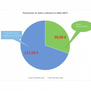Vyplatením 13. platov ušetrí rezort obrany na mzdových výdavkoch 850.000 eur