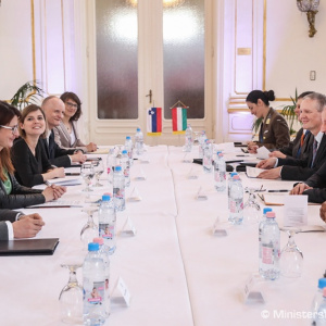 Ministri obrany CEDC: Stredná Európa je v téme bezpečnosti jednotná
