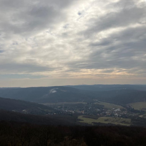 IMG-20230211-WA0013