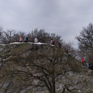 IMG-20230211-WA0027(1)