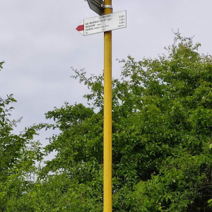 p 2023 8