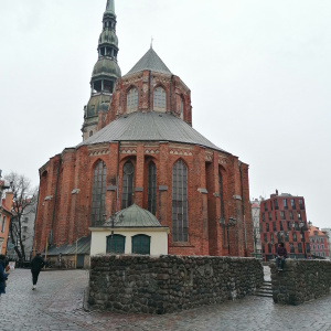 IMG_20240402_131155