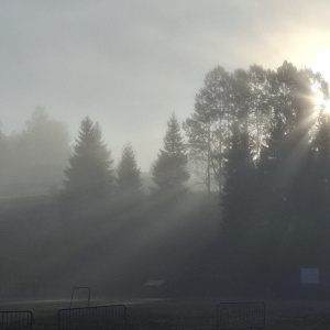 IMG-20250925-WA0009