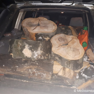 Vojenská polícia zadržala vo vojenských lesoch muža podozrivého z krádeže dreva