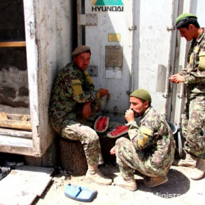 Pod horúcim slnkom osvieži čerstvý melón