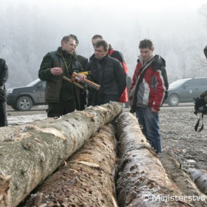 Ťažba dreva bude prísne kontrolovaná