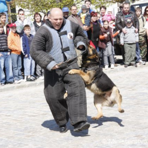 Vojaci policajti, hasiči aj záchranári v Skalici