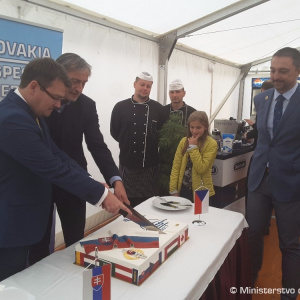 R. Ondrejcsák sa prihovoril účastníkom Dní NATO v Ostrave