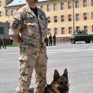 ...operáciu ISAF opať posilnia aj psy