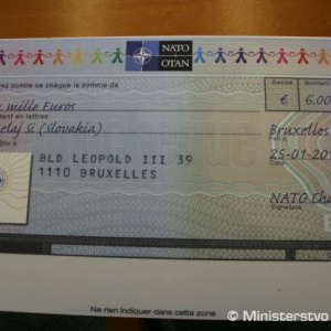 Finančná podpora NATO pre dlhodobo choré deti