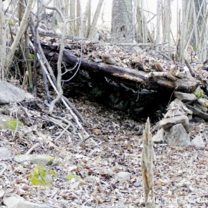 Veliteľstvo a NSE cvičili prežitie pred vyslaním do ISAF