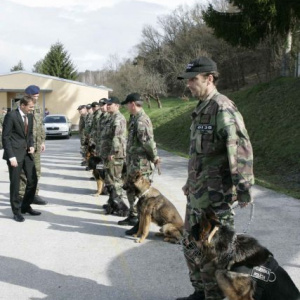 príprava psovodov vojenskej polície v rámci kurzu DOG – 4 v priestoroch  výcvikového centra v Hronseku