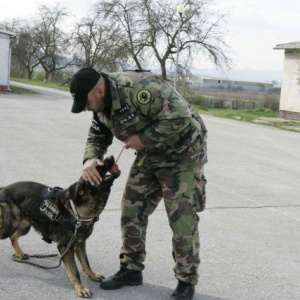príprava psovodov vojenskej polície v rámci kurzu DOG – 4 v priestoroch  výcvikového centra v Hronseku