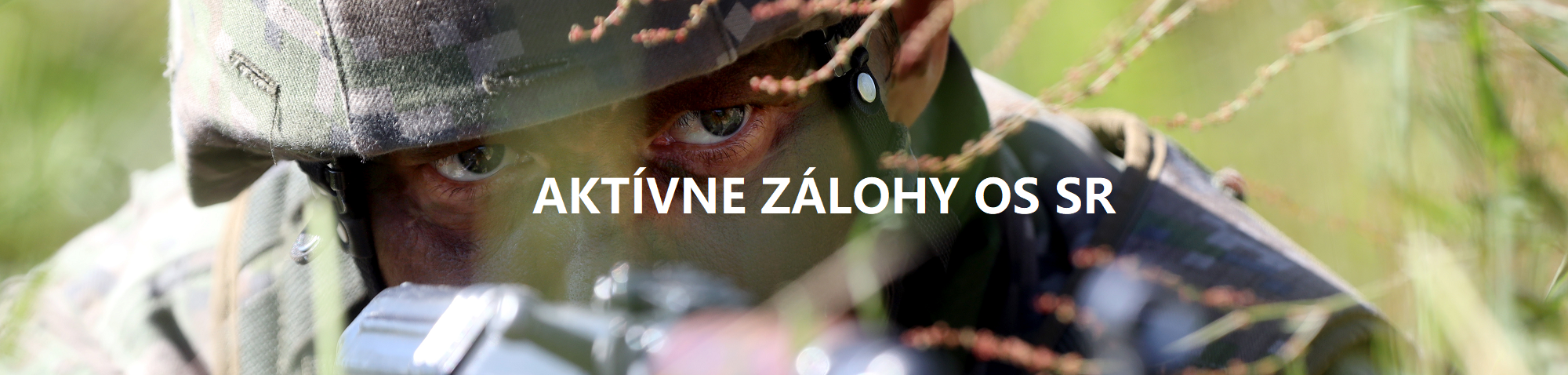 Aktívne zálohy